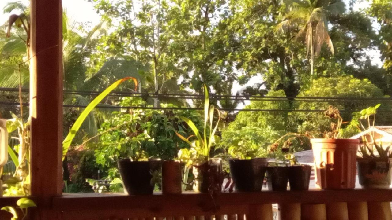 Apartamento Casa Lumiere Bocas del Toro Exterior foto